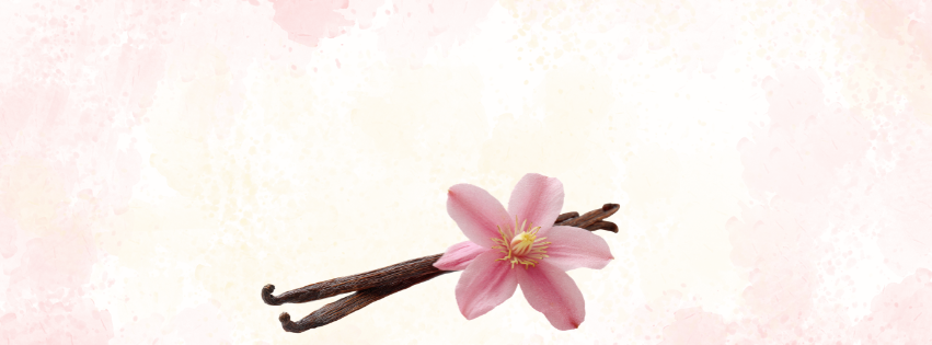 Flor rosa y vainas de vainilla